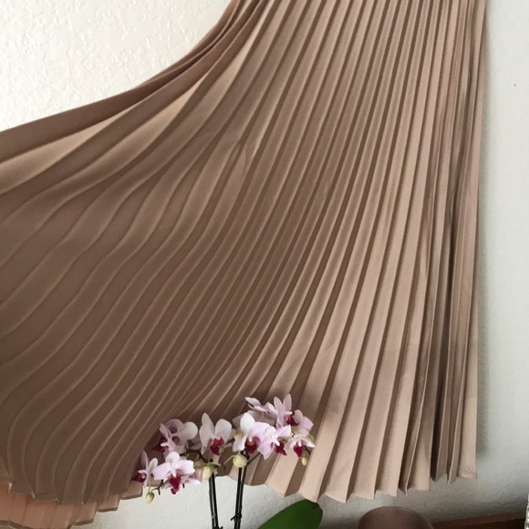 Zara Pleated Skirt - Picture 2 of 3